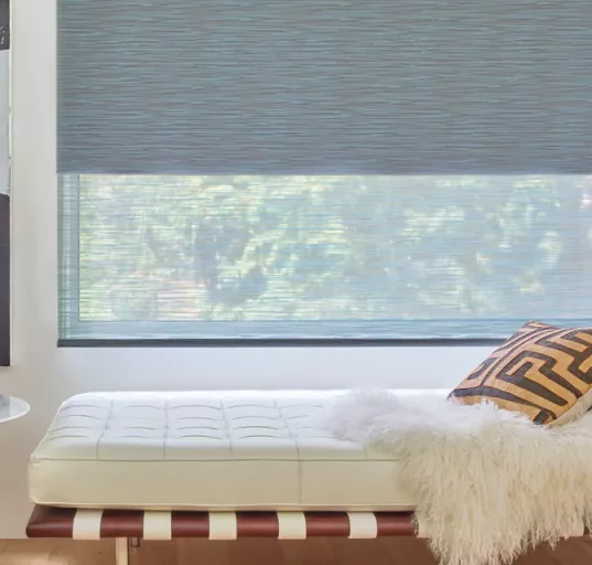 Window Roller Shades