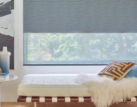 Window Roller Shades