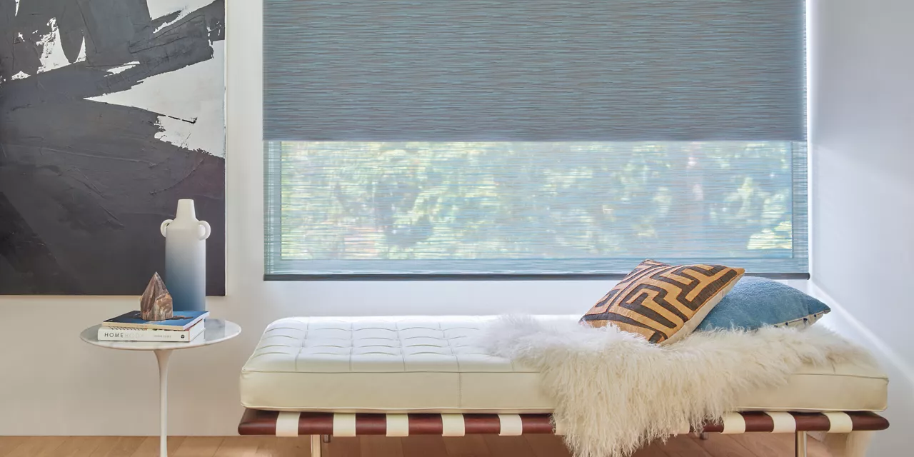 Window Roller Shades