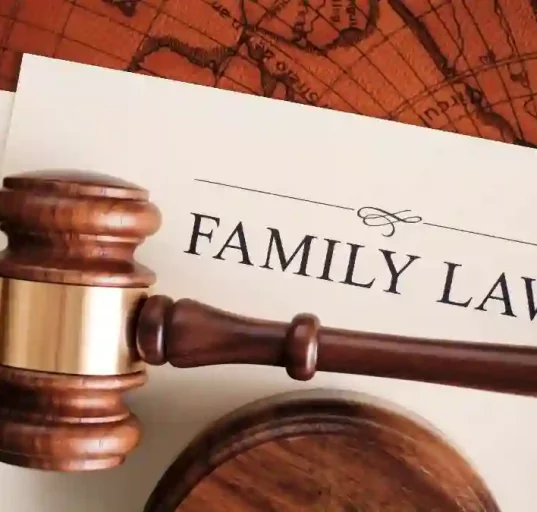 Family Law Lawyers