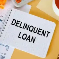 loan delinquency