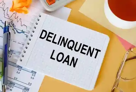 loan delinquency