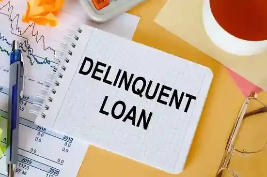 loan delinquency