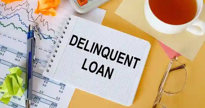 loan delinquency