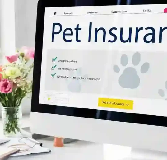 Pet insurance