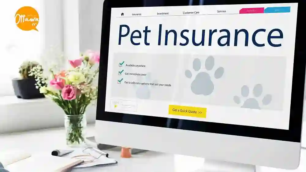 Pet insurance